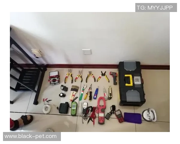 从零起步掌握乒乓球配合技巧的全面指南与实战经验分享