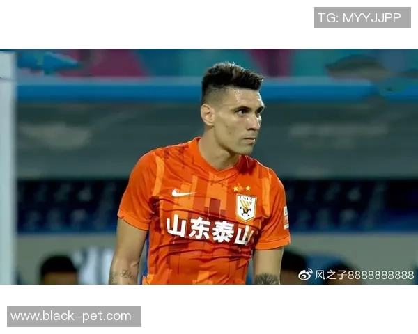 武汉网球队以73分领跑总决赛积分榜展现强劲实力