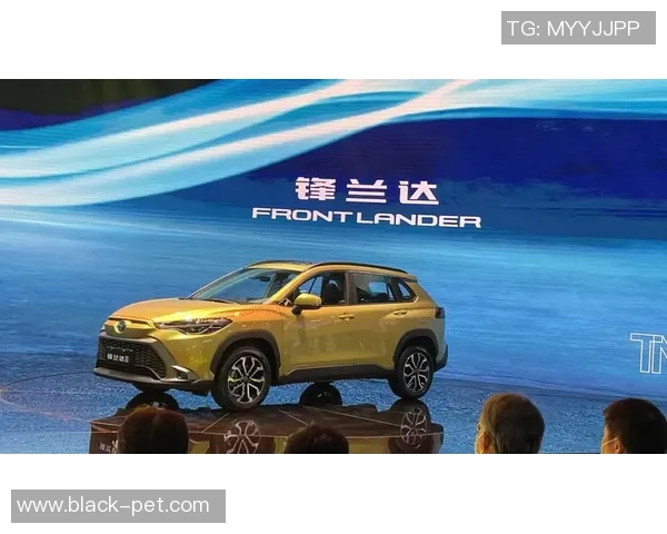 西安足球队在洲际杯积分榜上以92分稳居首位展现强劲实力